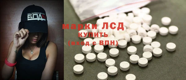 ГАЛЛЮЦИНОГЕННЫЕ ГРИБЫ Магас