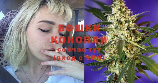 ГАЛЛЮЦИНОГЕННЫЕ ГРИБЫ Магас